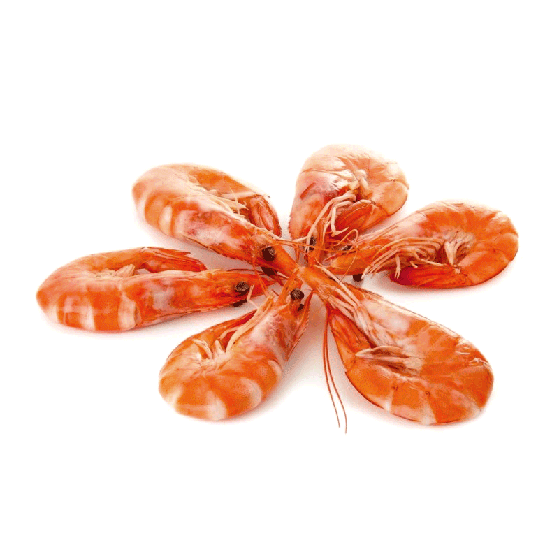 Ceci est un crabe
