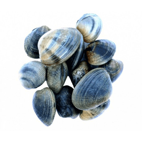 Ceci est un crabe